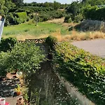 Rosenbluete * Neustadt an der Weinstrasse