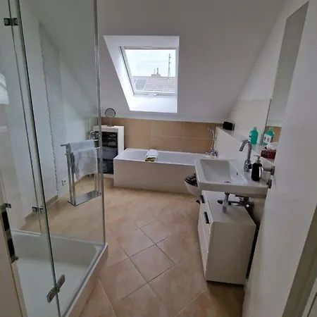 Rosenbluete * Neustadt an der Weinstrasse