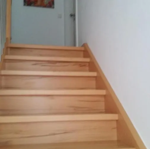 Rosenbluete * Neustadt an der Weinstraße