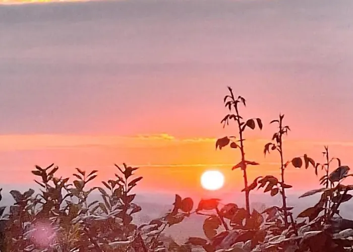 Apartman Rosenbluete