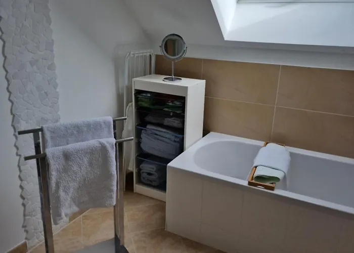 Rosenbluete Neustadt an der Weinstraße