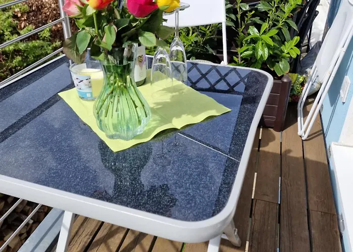 Rosenbluete Neustadt an der Weinstraße